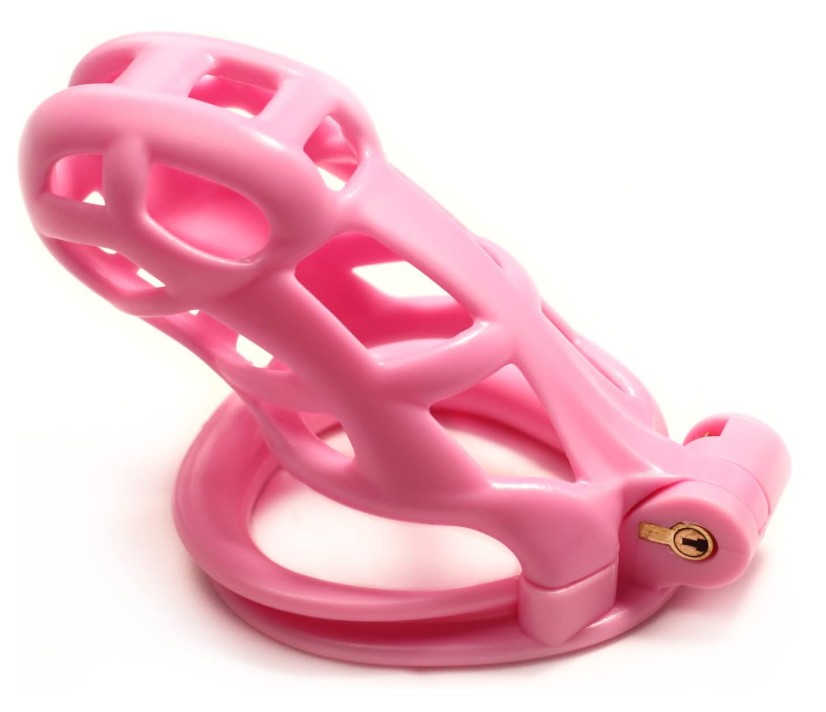 Male Chastity Cage Lock Cock Device Kit with 4 Arc Penis Rings Pink-Standard - Image 2